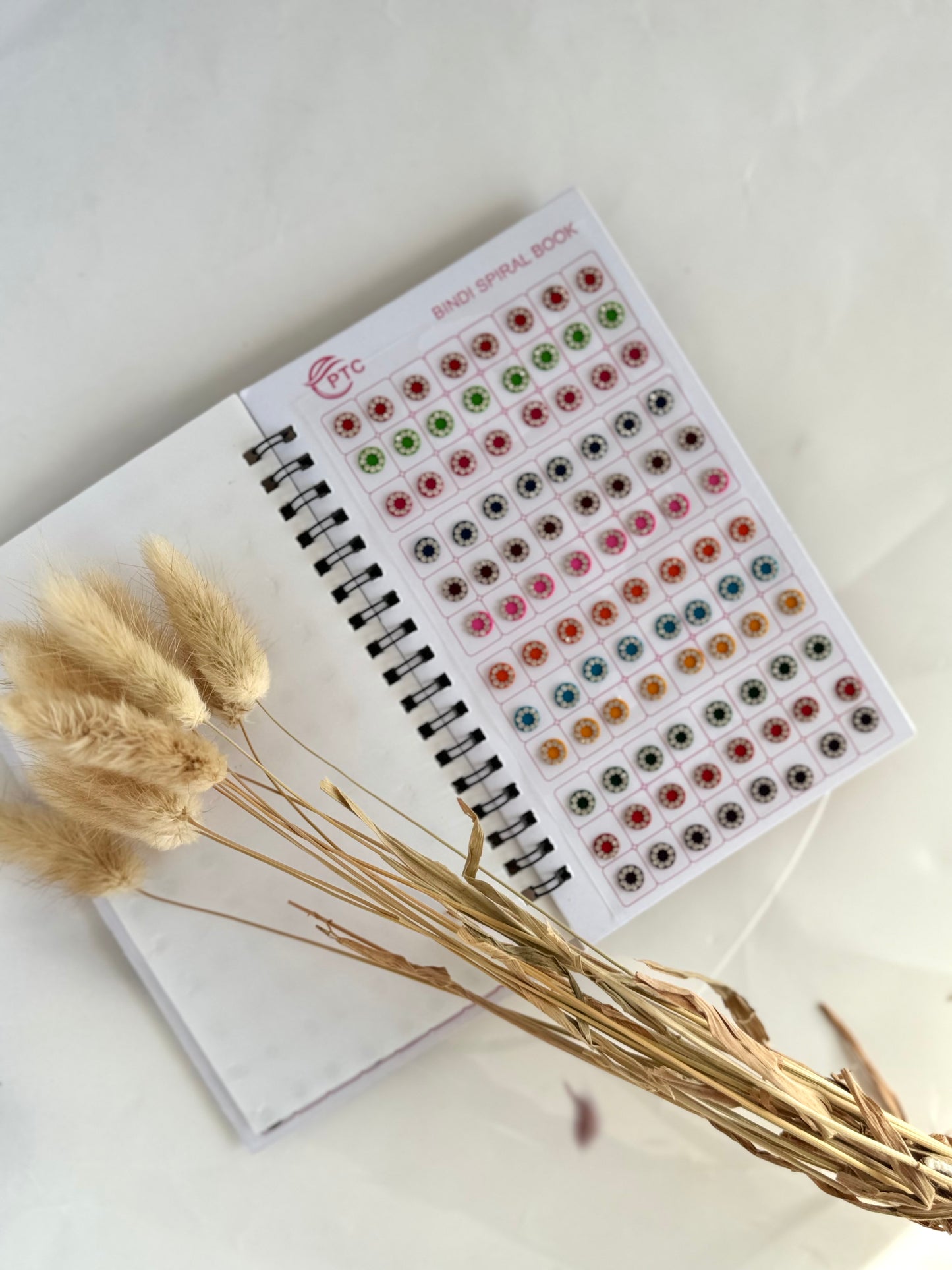 Silver Stones Bindi Book