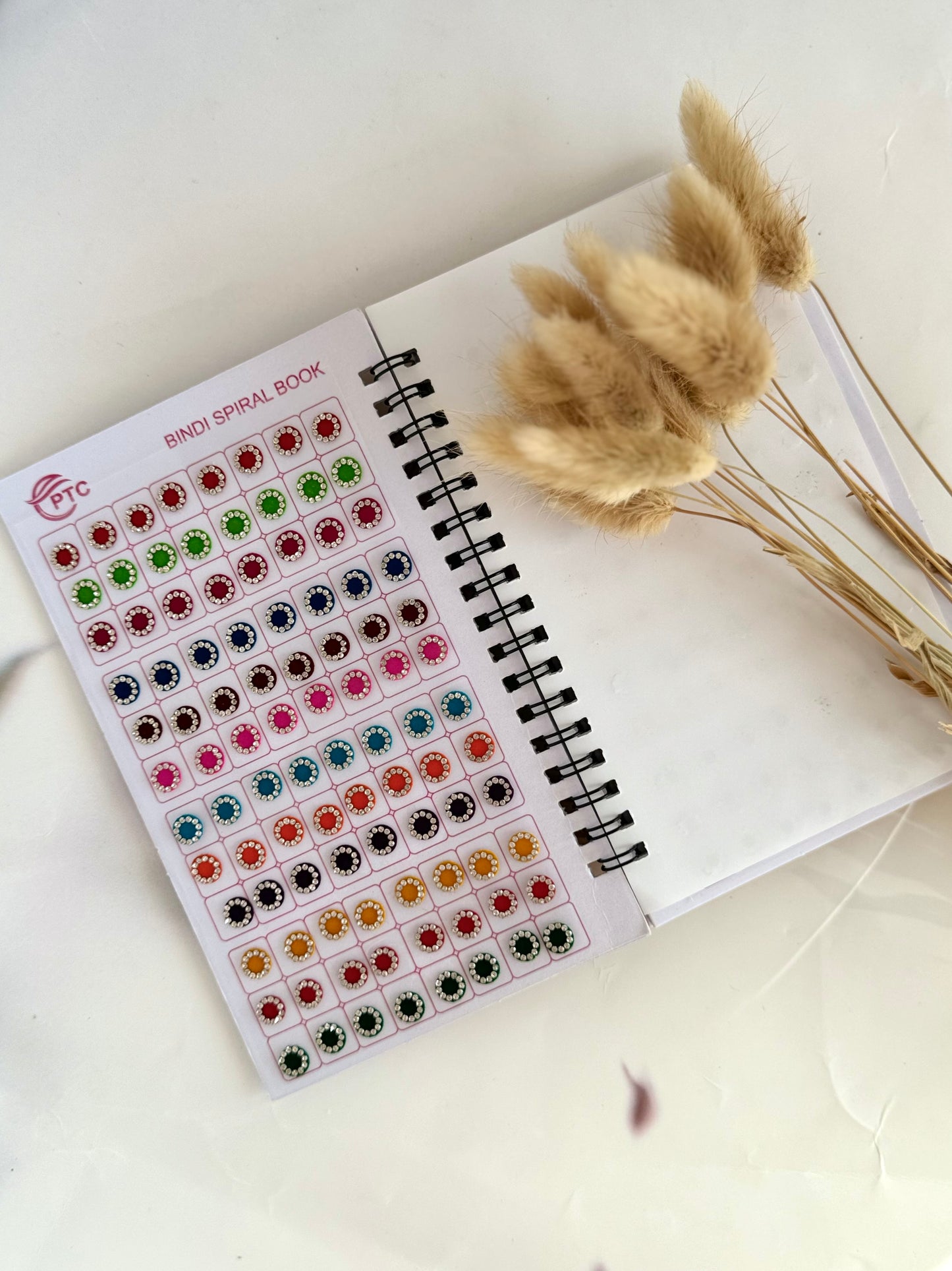 Silver Stones Bindi Book