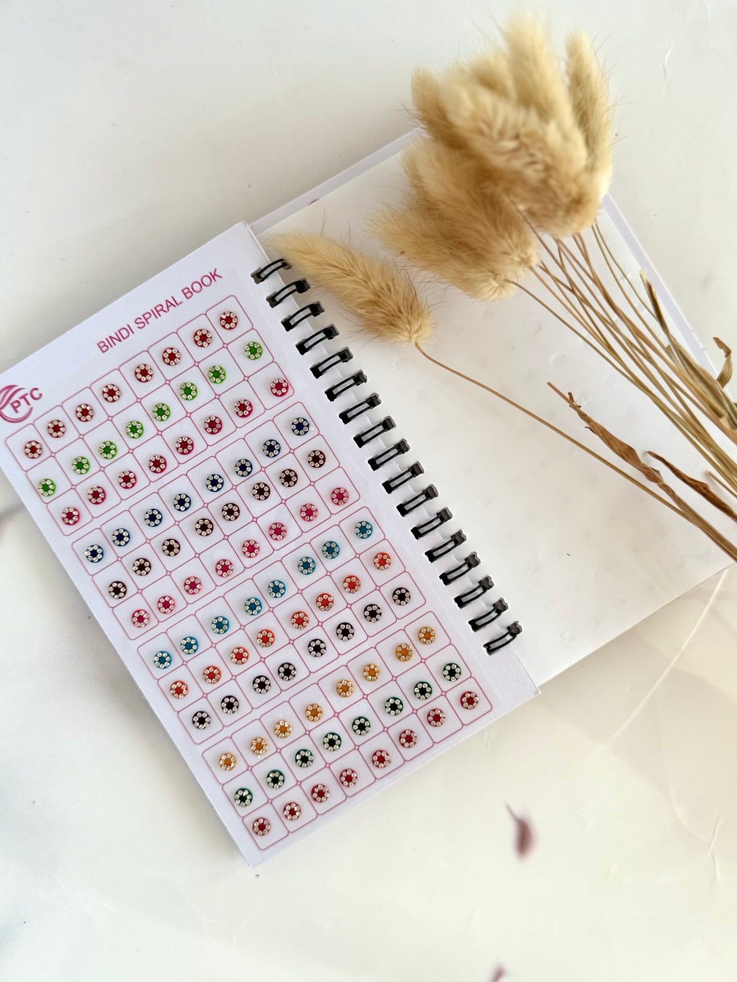 Silver Stones Bindi Book