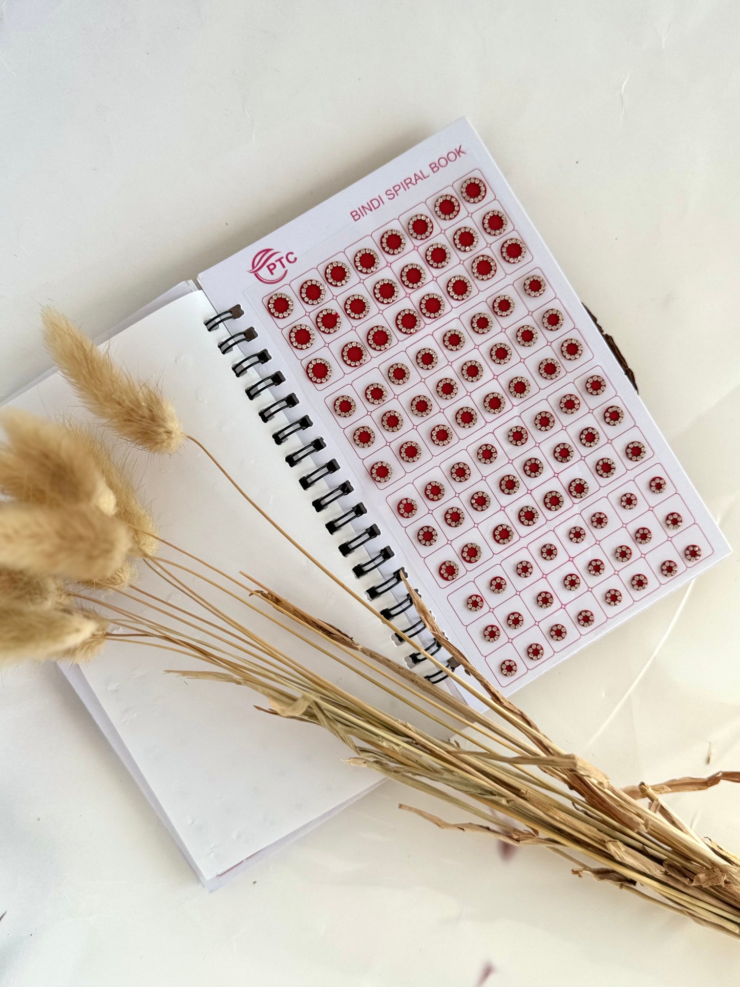 Silver Stones Bindi Book